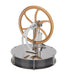 Low Temperature Stirling Engine Coffee Cup Stirling Engine Model Education Toy enginediyshop